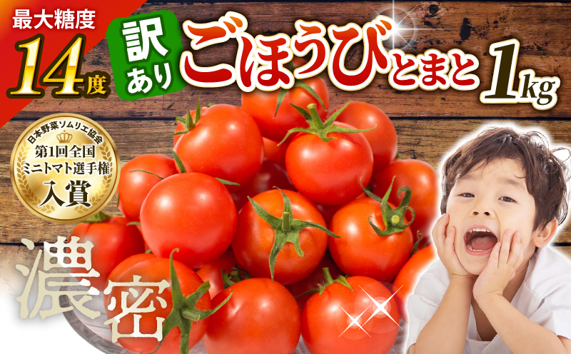 【 訳あり 】 トマト 1kg 風の子ファーム 埼玉県 羽生市