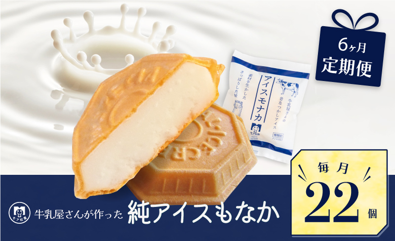 【 定期便 】 6回 毎月お届け アイス もなか 22個 × 6回 計132個 モア松屋
