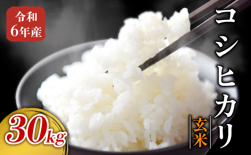 【予約】令和6年産 玄米 コシヒカリ 30kg 新米 | お米 おこめ 米 こめ