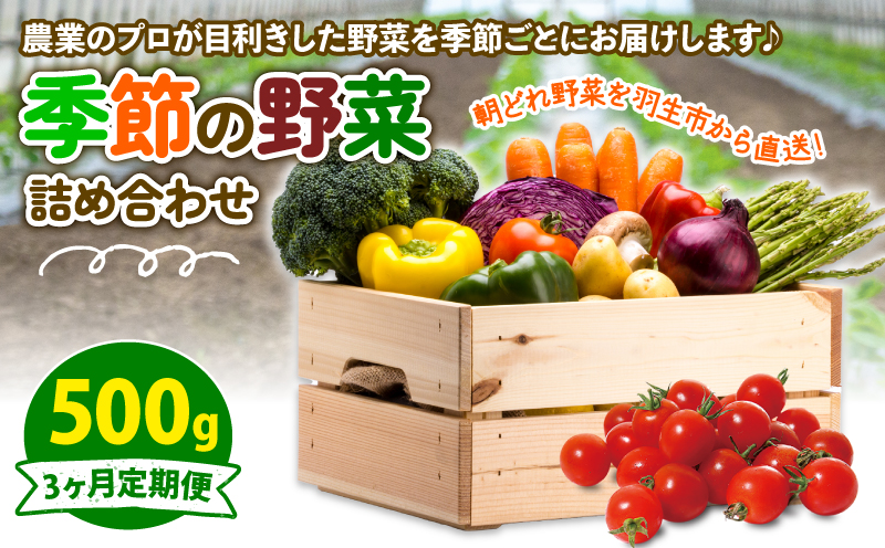 季節の野菜 定期便 500g 3ヶ月 【定期便】季節の野菜 500g 3ヶ月