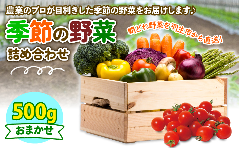 季節の野菜 詰め合わせ 500g 季節の野菜 詰め合わせ 500g