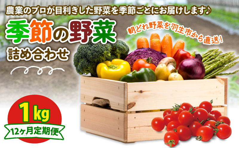 季節の野菜 詰め合わせ 1kg 12ヶ月 【定期便】季節の野菜 1kg 12ヶ月