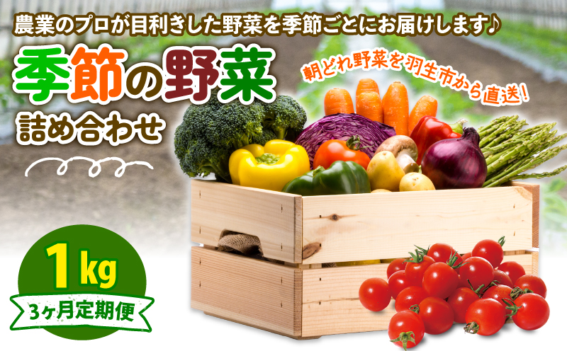 季節の野菜 定期便 1kg 3ヶ月 【定期便】季節の野菜 1kg 3ヶ月