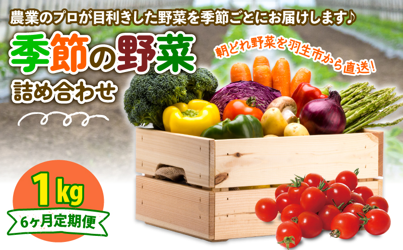 季節の野菜 詰め合わせ 1kg 6ヶ月 【定期便】季節の野菜 1kg 6ヶ月