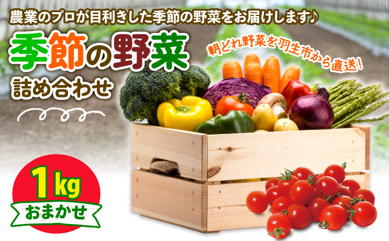 季節の野菜 詰め合わせ 1kg 季節の野菜 詰め合わせ 1kg