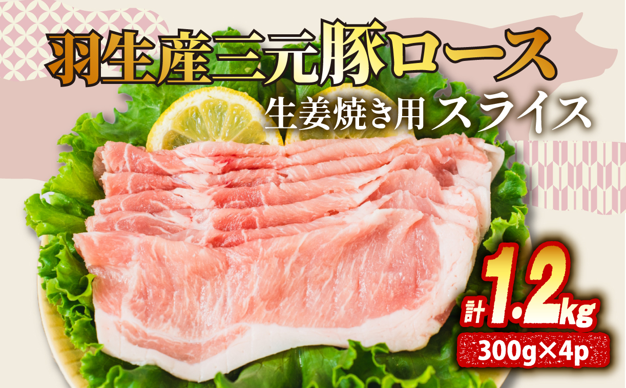 ロース 生姜焼き 1.2kg 豚肉