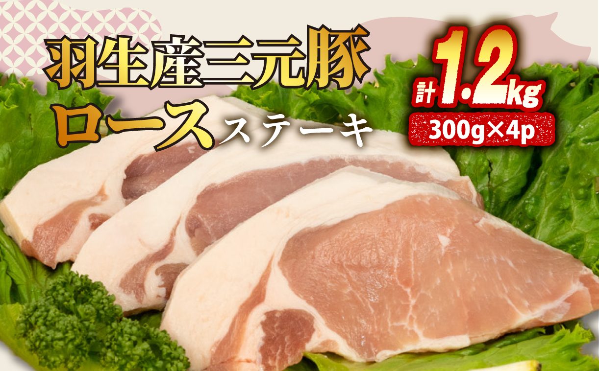 ロース ステーキ 1.2kg 豚肉
