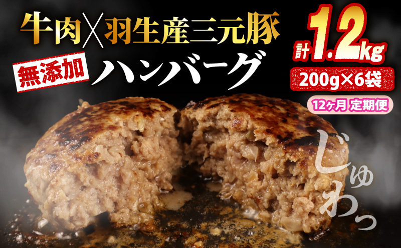 【定期便】 12回 ハンバーグ 1.2kg 計14.4kg 冷凍 無添加 牛肉 豚肉 合挽き 肉 惣菜 選べる 容量 定期便 【定期便】1.2kg×12回