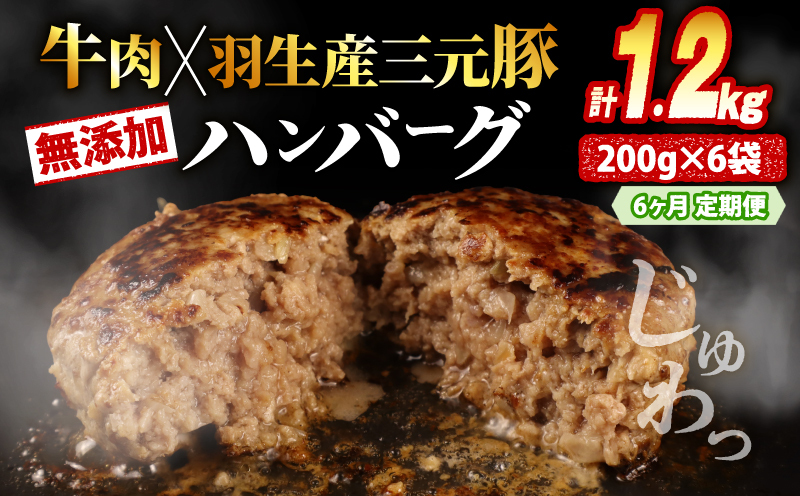 【定期便】 6回 ハンバーグ 1.2kg 計7.2kg 冷凍 無添加 牛肉 豚肉 合挽き 肉 惣菜 選べる 容量 定期便 【定期便】1.2kg×6回
