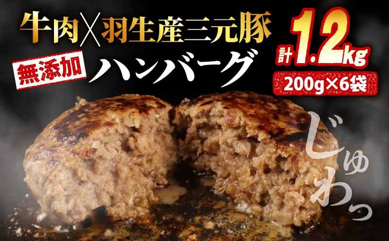 【ハンバーグ】 1.2kg 冷凍 無添加 牛 豚 合挽き 肉 惣菜 埼玉県 羽生市 1.2kg (6個)