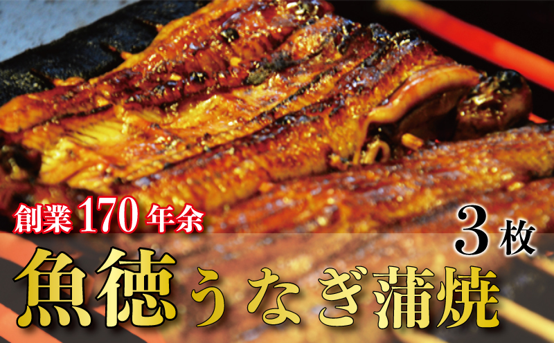 うなぎ 鰻 蒲焼 約120g~130g 3枚 魚徳 並蒲焼 3枚