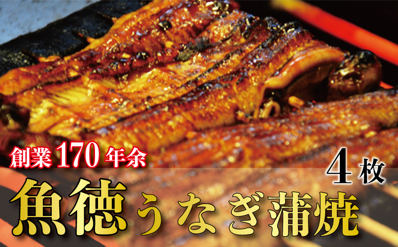 うなぎ 鰻 蒲焼 約120g~130g 4枚 魚徳 並蒲焼 4枚