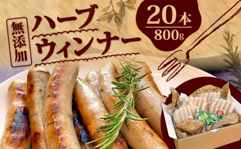 ハーブ ウインナー 20本 800g ローズマリー バジル 化粧箱入り 豚肉 おつまみ 無添加 三元豚 肉 さんげんとん ポタジェガーデン