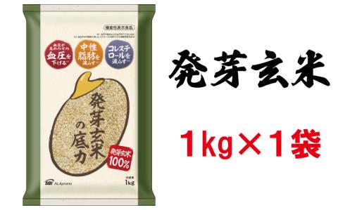 発芽玄米の底力(ドライ米タイプ) 1kg×1袋 生活習慣病 ケア 高血圧 中性脂肪 コレステロール 対策 健康 羽生 埼玉