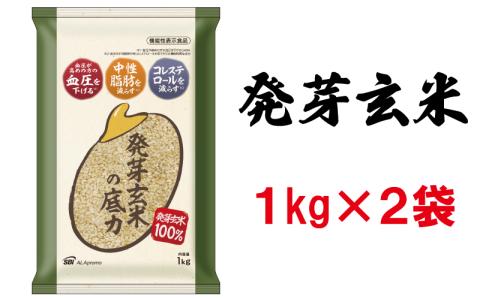 発芽玄米の底力(ドライ米タイプ) 1kg×2袋 生活習慣病 ケア 高血圧 中性脂肪 コレステロール 対策 健康 羽生 埼玉
