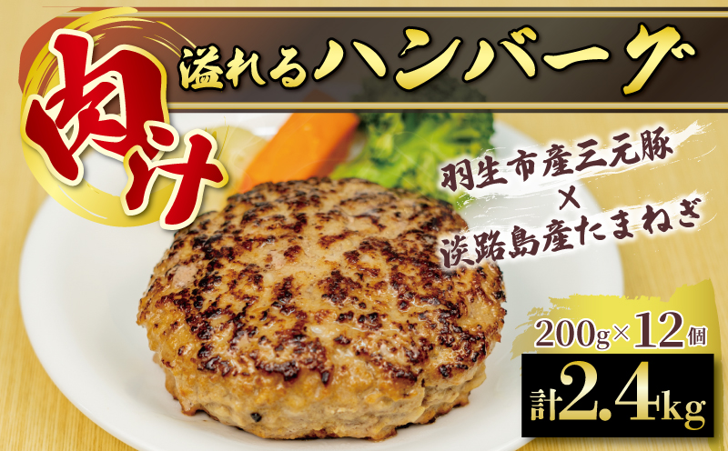 ハンバーグ 2.4kg