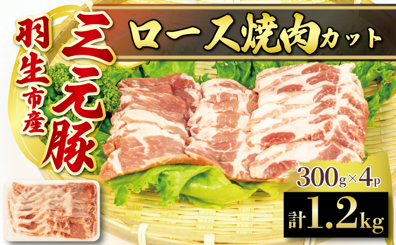 ロース 焼肉 1.2kg 豚肉