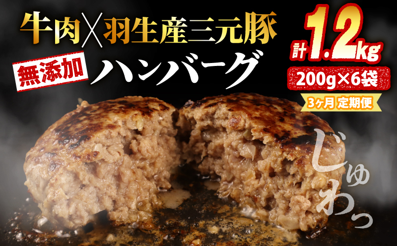 [定期便] 3回 ハンバーグ 1.2kg 計3.6kg 冷凍 無添加 牛肉 豚肉 合挽き 肉 惣菜 選べる 容量 定期便