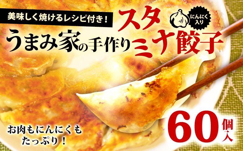 スタミナ 餃子 60個 うまみ家