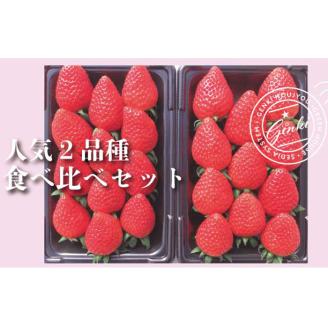 [人気品種 2 種類食べ比べセット♪]いちごMIX