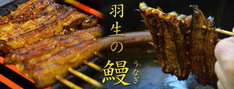 羽生の鰻