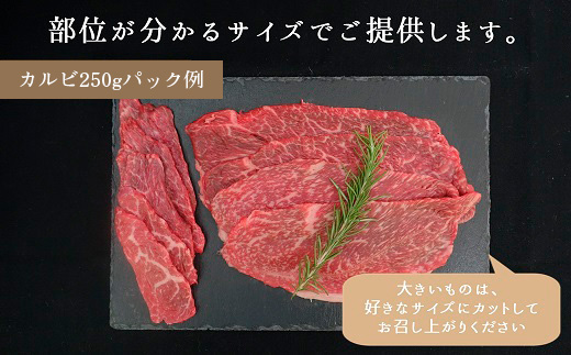 松川牧場のこだわり牛肉　BBQ・焼肉セット 500g ロース部位から1パック カルビ部位から1パックお届け 松川牧場