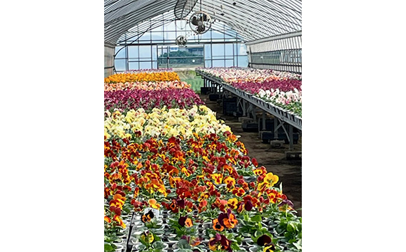 【季節の寄植えリース】クールセレクト＊花工房すなが＊