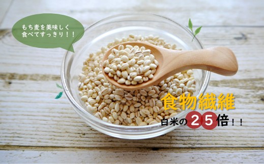 国産もち麦6kg《1kg×6個セット》雑穀 お米に混ぜて炊くだけ！便利なチャック付 小分けパック ダイエット 食物繊維  送料無料