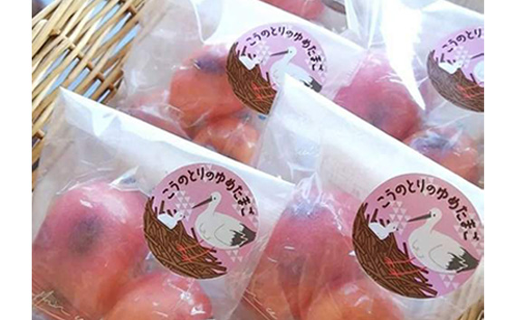 こうのとりの焼き菓子　6個セット