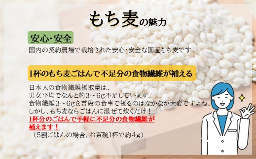 国産もち麦12kg《1kg×12個セット》雑穀 お米に混ぜて炊くだけ！小分けパック ダイエット 食物繊維  送料無料