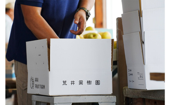 【先行予約】荒井果樹園の豊水　約5kg