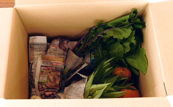 【有機野菜の定期便3ヶ月】ガバレ農場の季節の有機野菜詰め合わせセット