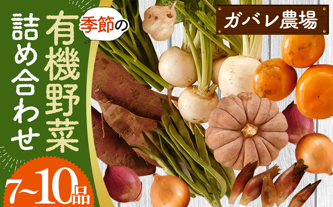 ガバレ農場の季節の有機野菜詰め合わせセット