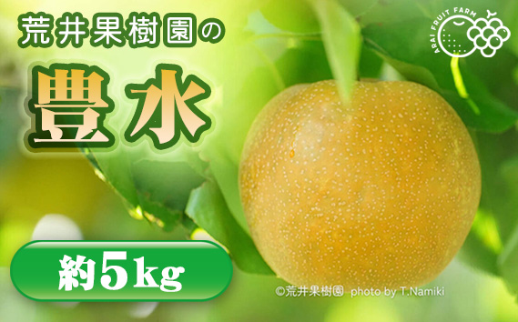 【先行予約】荒井果樹園の豊水　約5kg