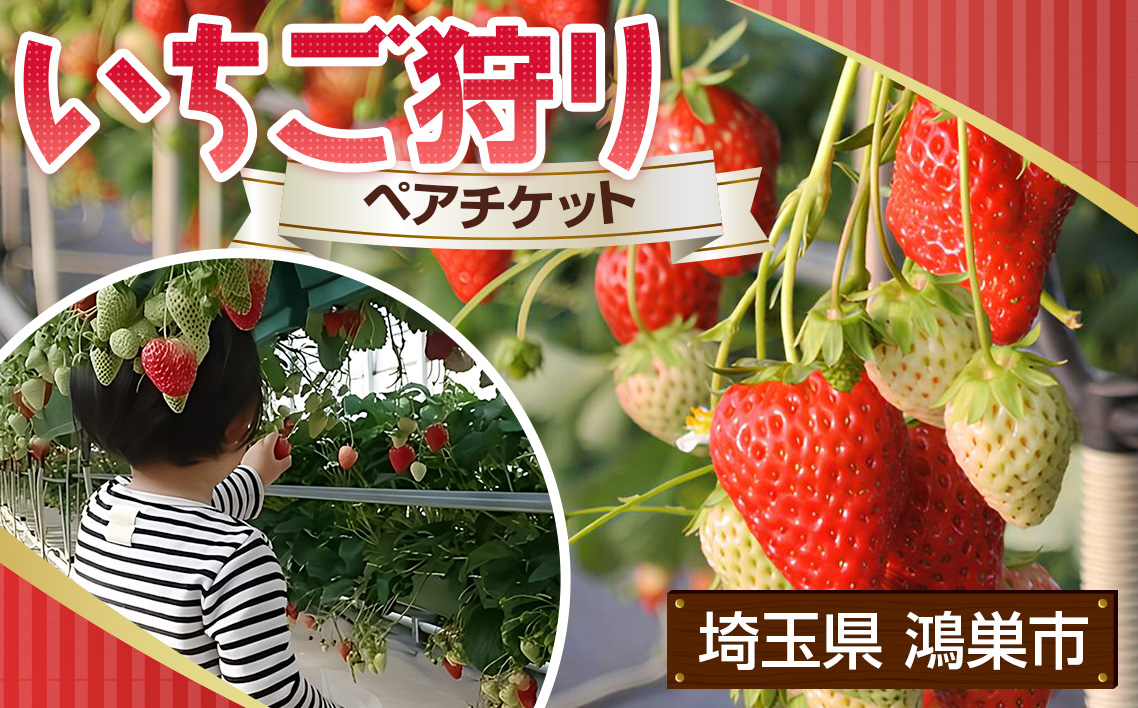 ［観光福祉農園元気ファーム］いちご狩りペアチケット（1ハウス分割貸切）