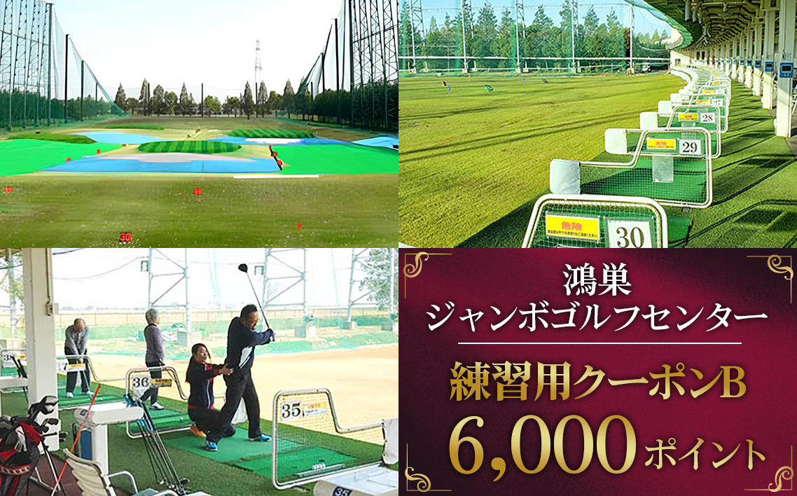 鴻巣ジャンボゴルフセンター　練習用クーポンB