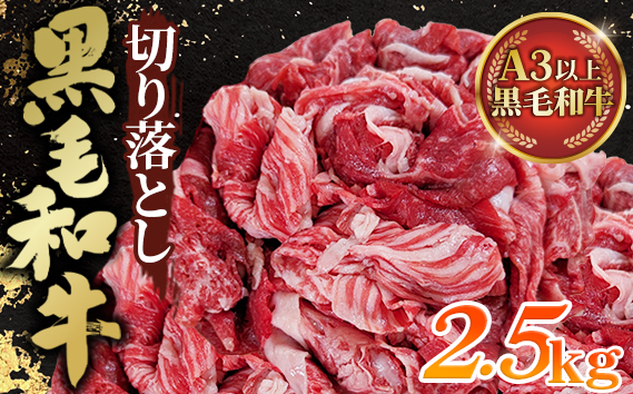 黒毛和牛切り落とし250g×10パック（合計2.5kg）