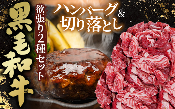 黒毛和牛欲張りセット 切り落とし 250g ハンバーグ 120g  8個