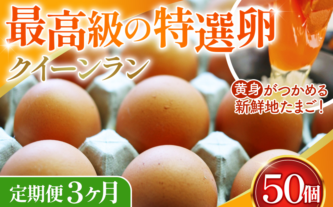 黄身がつかめる新鮮地たまごクイーンラン 赤玉50個入《定期便3ヶ月》