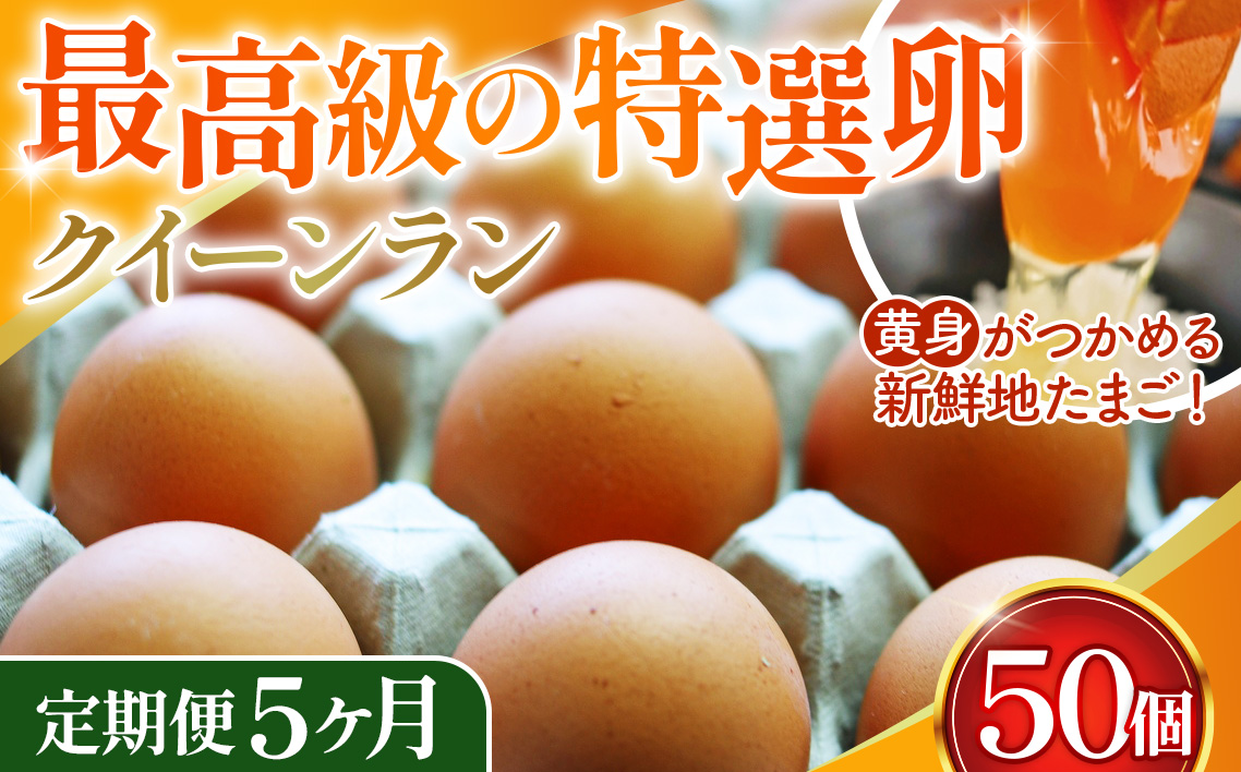 黄身がつかめる新鮮地たまごクイーンラン 赤玉50個入《定期便5ヶ月》