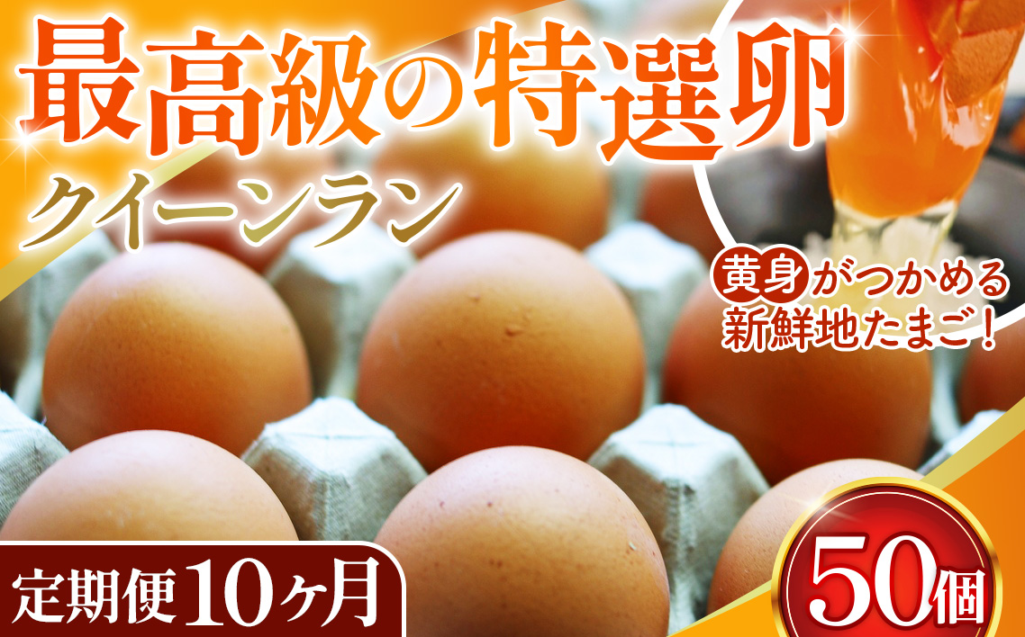 黄身がつかめる新鮮地たまごクイーンラン 赤玉50個入《定期便10ヶ月》