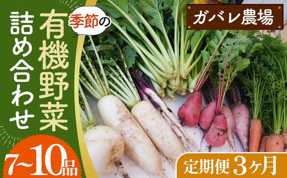 【有機野菜の定期便3ヶ月】ガバレ農場の季節の有機野菜詰め合わせセット
