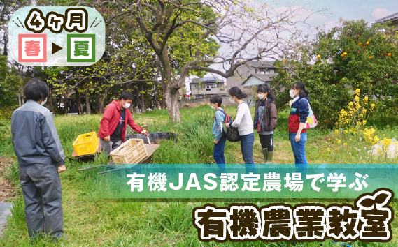 有機JAS認定農場で学ぶ4ヶ月 有機農業教室（春～夏）