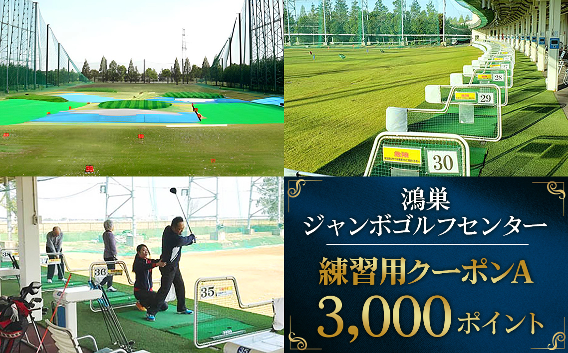 鴻巣ジャンボゴルフセンター　練習用クーポンA　ICカードにチャージして使える3000ポイント　300ヤード・88打席の解放感あふれる練習場