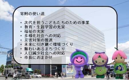 上尾市への返礼品無し寄付（10,000円分）| 埼玉県 上尾市応援 支援 プロジェクト 自治体支援 返礼品なし お礼の品なし 埼玉県 ふるさと支援 ふるさと応援 発展 自治体への寄付 寄付