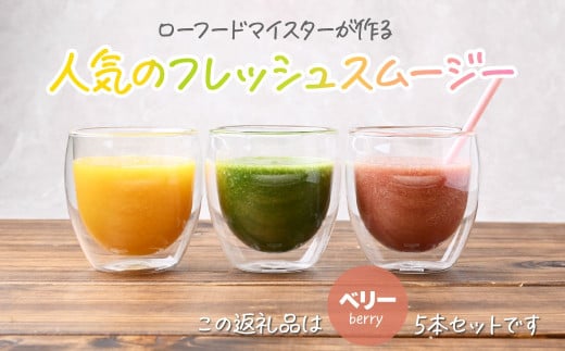 【ベリー】冷凍スムージー 5本セット