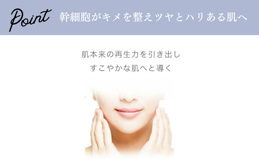 【3ヶ月定期便】SBC MEDISPA ステムクリーム 30g | SBC 湘南美容 湘南美容クリニック クリーム 定期便 埼玉県 上尾市