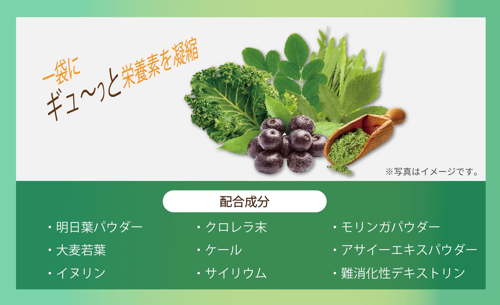 ファイン・ラボ ファイナルグリーンMAX Ⅱ300g