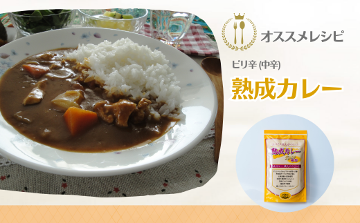 熟成カレー 4袋セット（中辛）