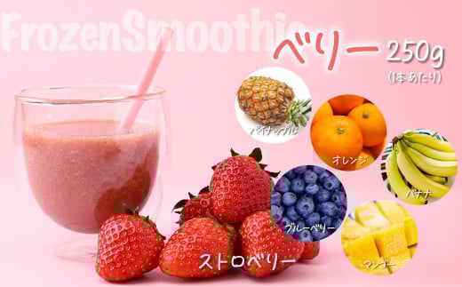 【定期便 12か月】冷凍スムージー 5本セット